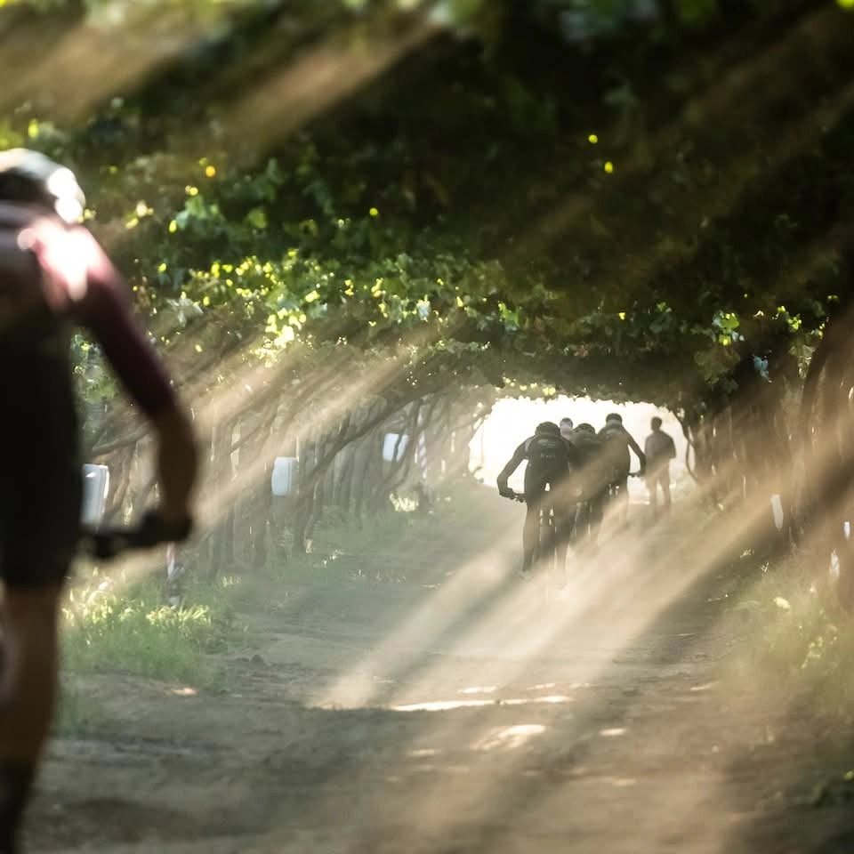 Mountain Biking